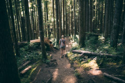 Hiking in the woods